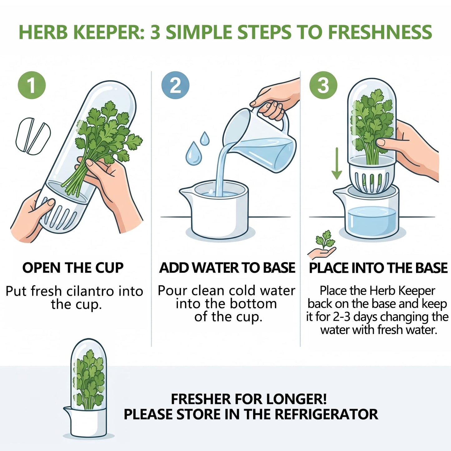 Anreelkou 2PCS Herb Saver, Herb Keeper for Refrigerator, Cilantro Container for Fridge, Hard Shell Fresh Herb Storage for Asparagus, Parsley, Mint, Rosemary, Keeps Greens Fresh for 2-3 Weeks