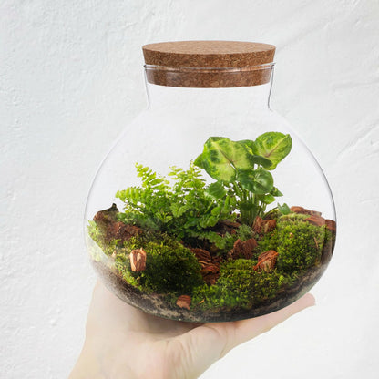 Cabilock Glass Terrarium Jar with Cork Lid, Ecological Bottle Micro Landscaping Bottle Storage Container Home Office Decor for Succulents Ferns and Decorative Plants
