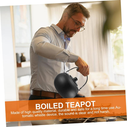 Cast Iron Tea Kettle with Metal Coffee Filter, Heating Teakettle for Gas Stove, Stainless Steel Field, Make Tea