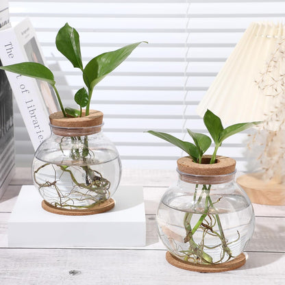 12 Packs Baderke Propagation Vases for Plants Plastic Plant Propagation Station with Hole Lid and Cork Coasters Plant