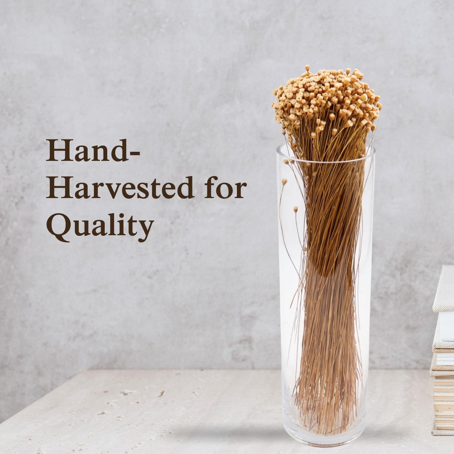 Quality Growers - Happy Flower Preserved Bouquet - Preserved Botanical Flowers for Home Decor, Floral Arrangements, Crafts & DIY Projects - Hand-Harvested - 22” Long - Natural