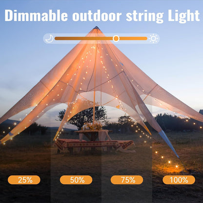 23ft 60 8 WERTIOO Globe String Lights Battery Operated LED Globe Lights with Remote, Modes & Timer Warm White String