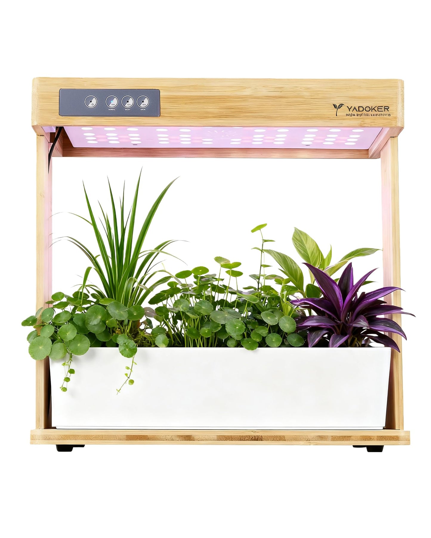 yadoker Indoor Hydroponic Garden System, 8 Pods Smart Growing Kit with LED Grow Light, Automatic Timer, Pump System & 3.5L Water Tank – Ideal for Herb Cultivation (No Seed)