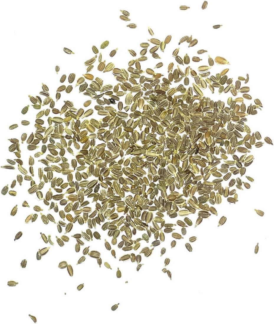 (1 Pack) Seed Needs Carrot Seeds for Planting Tendersweet Carrots - Non-GMO Heirloom & Untreated Vegetable Seed