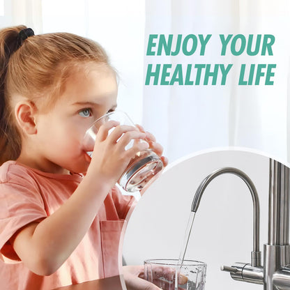 Fapully 3 in 1 Kitchen Faucet with Water Filler and Pull Down Sprayer,Brushed Nickel Commercial Kitchen Sink Faucet with Drinking Water Faucet
