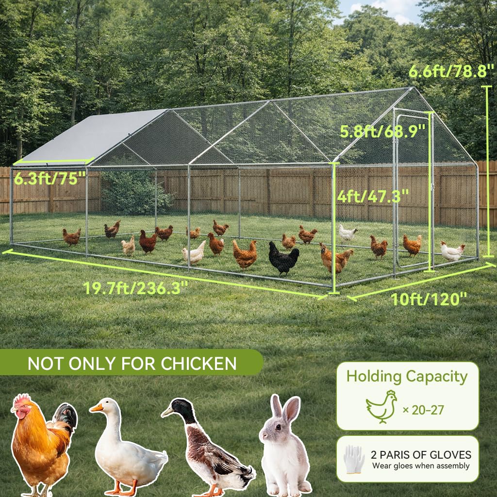 COMHOMA 19.7×10×6.6FT Large Metal Chicken Coop,Galvanized Steel Walk-in Chicken Run with Waterproof Roof & Lockable Door,Outdoor Poultry Cage for Hens,Ducks,Rabbits