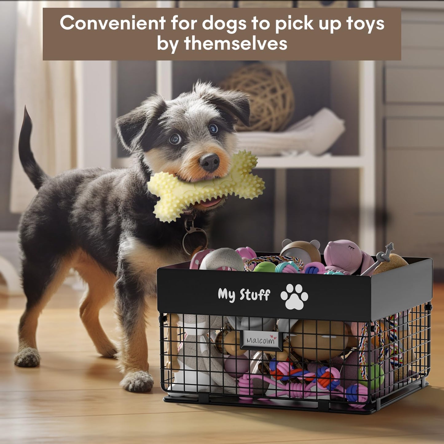qeerable Dog Toy Basket - Metal Large Dog Toy Box for Small Dog - Dog Toy Storage Bin for Pet - Personalized Large Dog Toy Basket for Puppy and Pet- Dog Toy Organizer Holder Boxes for Living Room