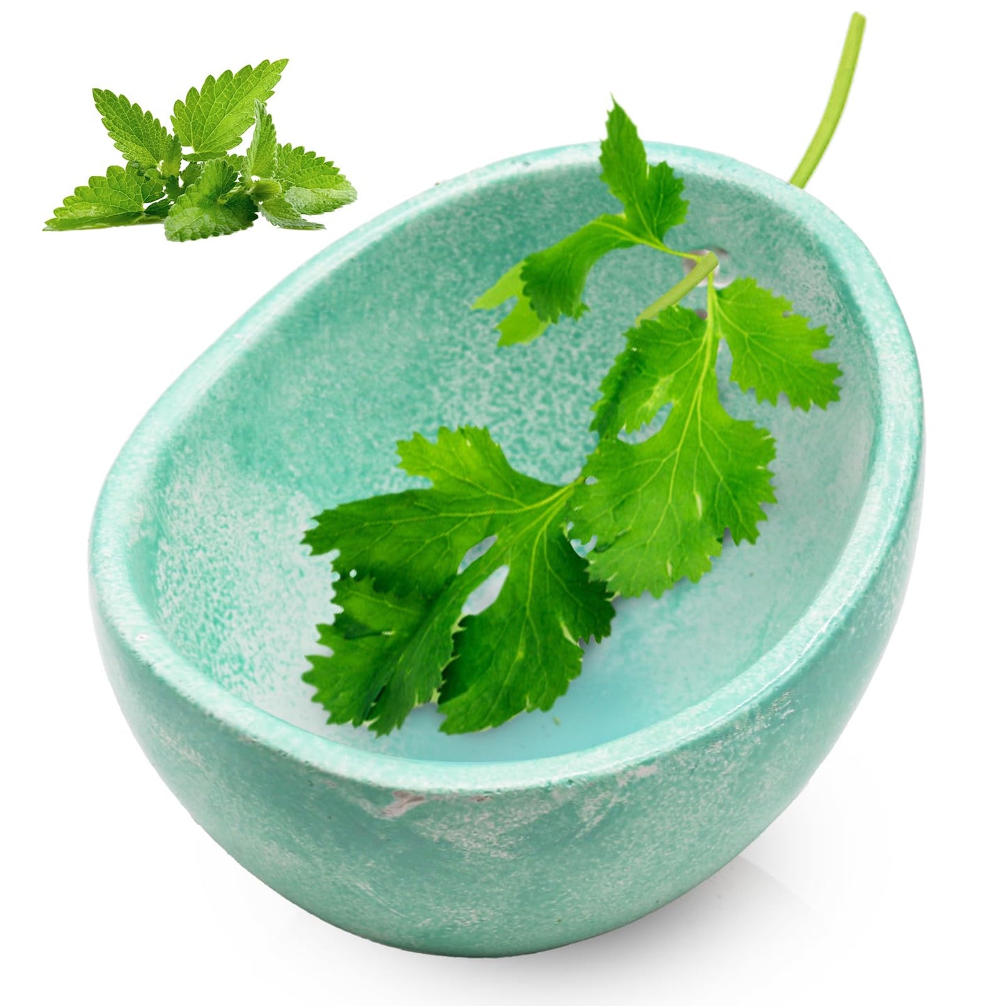 Rimigood Handmade Ceramic Herb Stripper Bowl-Ceramic Herb Peeling Bowl Kitchen Herbs Leaf Stripping Tool Pottery Herb Peeler for Kale, Thyme, Basil, Rosemary Stripper (Green)