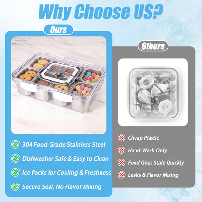 Qtencas Snackle Box Container with 8 Portable Removable Compartments, Ice Pack, Sauce Cup & Fork, Stainless Steel Divided Serving Tray with Lid and Handle for Road Trips Beach Camping