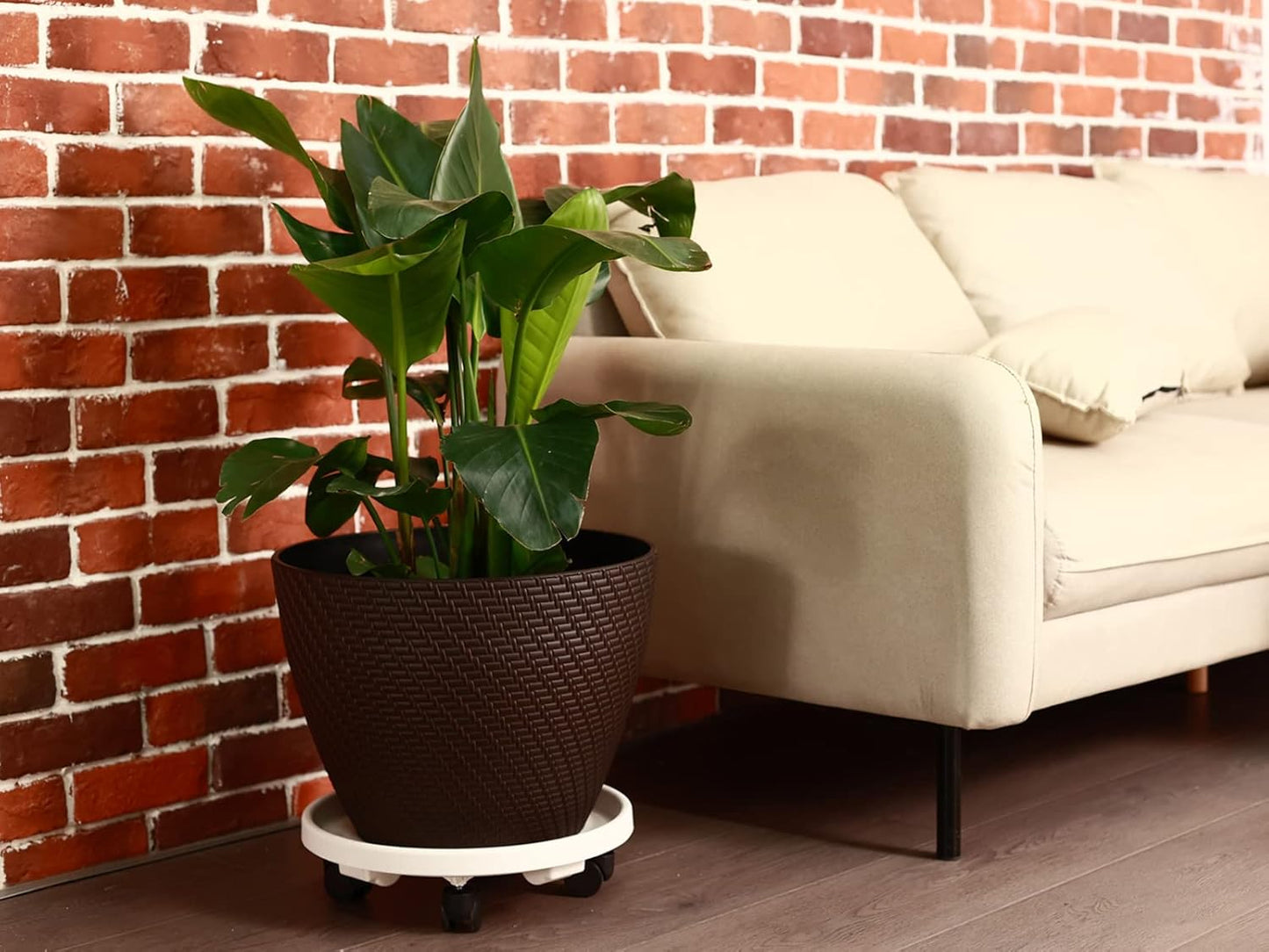 5 Packs 13" Large Plant Caddy with Wheels Rolling Wheeled Plant Stands Heavy-Duty Plastic Flower Pot Roller Base Movers
