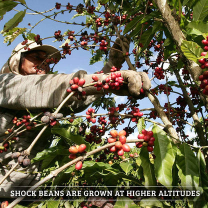 Shock Coffee Ground Stay Fresher Packs. The Strongest Caffeinated All Natural Coffee, Up to 50% more Caffeine than Regular Coffee, 6.6 pounds (40-2.65oz bags)