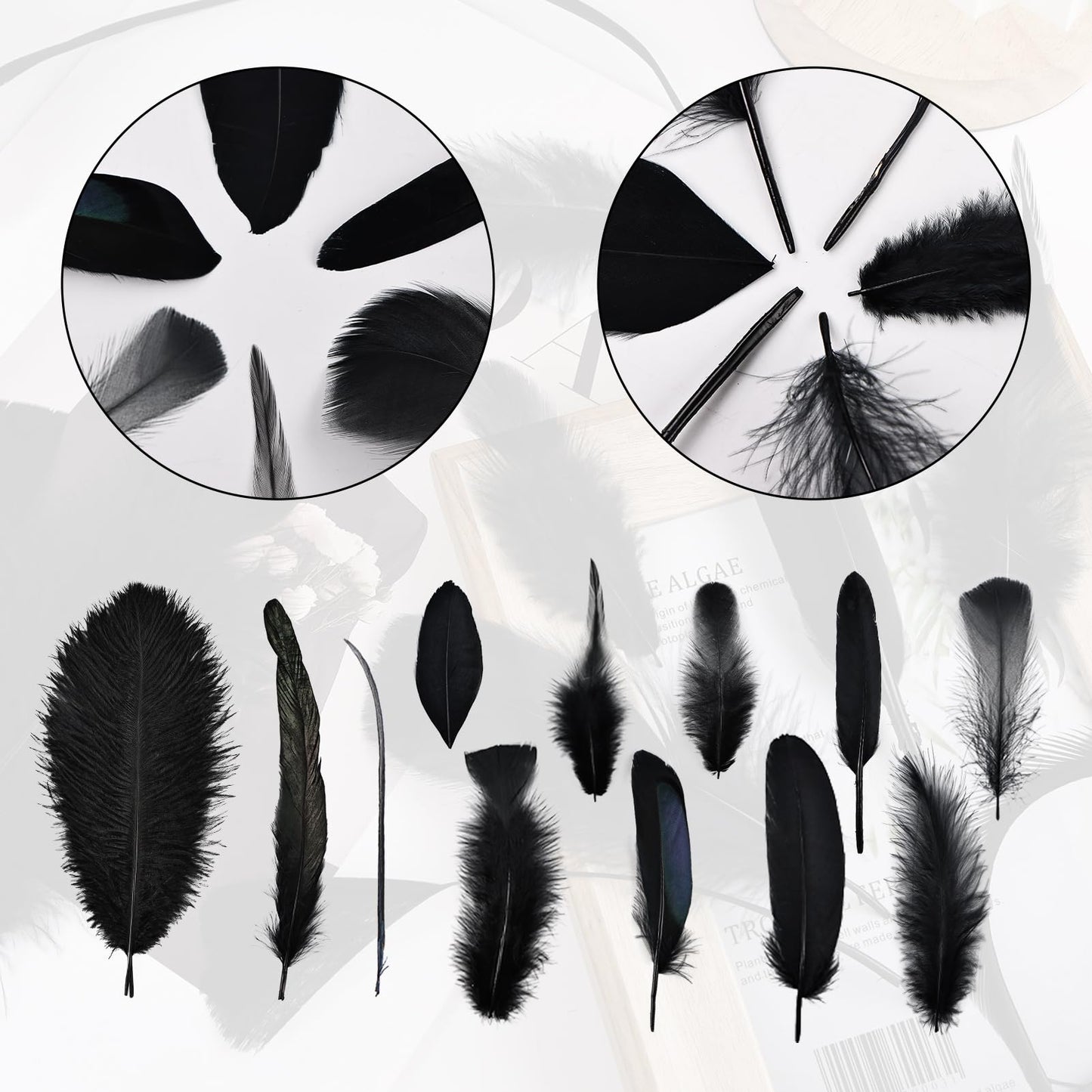 Daieeparty Black Craft Feathers Bulk-360pcs 12 Style Mixed Natural Feathers for Wedding Home,Dream Catcher Supplies and DIY Crafts (Black)