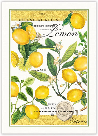 Michel Design Works Kitchen Dish Towel, Lemon Basil