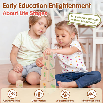 Wooden Life Cycle Nesting Blocks, Sorting & Stacking Montessori Toys for Kids, Preschool Educational Learning Cube Boxes for Toddlers 3+, Science Toy Set for Baby Boys & Girls (5 Pcs)