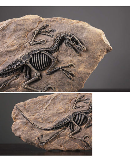 XINDAM Resin Dinosaur Fossil Statue Model Simulated Skeleton Home Office Display Decorative Craft Box Decoration (Style 2)