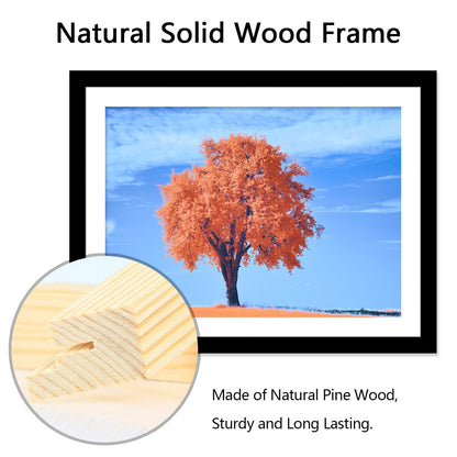 2 Pack 12x16 Picture Frame Black, Solid Wood Diamond Art Painting Frames 30x40cm, Display Pictures 10x14 with Mat or 12 x 16 Without Mat, 16x12 Frame for Photos Posters Prints Artworks, Wall Hanging