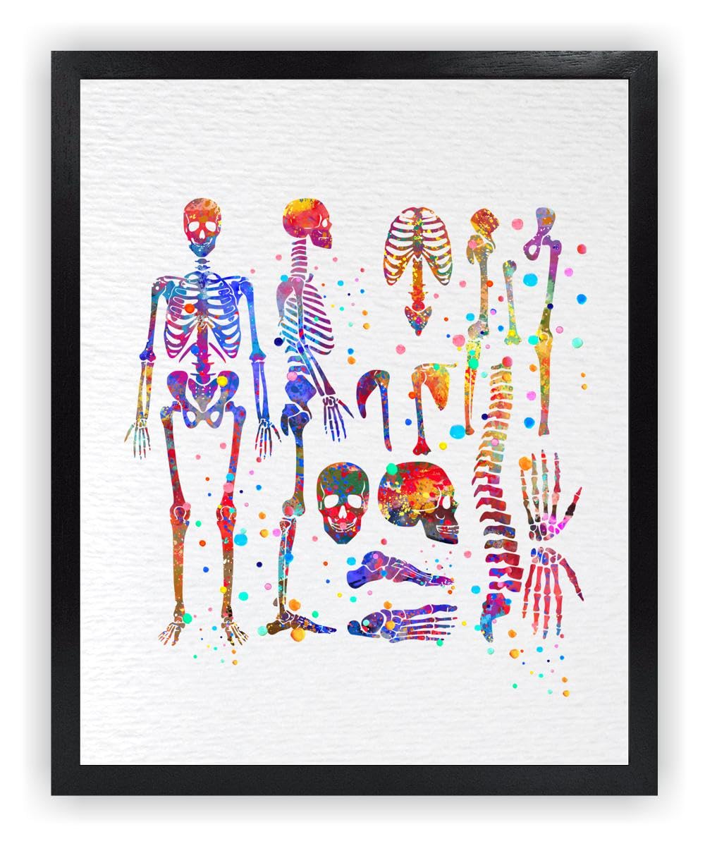 Dignovel Studios 8X10 Unframed Skeletal System Human Skeleton Body Anatomy Medical Medicine Science Watercolor Art Print Poster Wall Nursery Kids Office Home Decor DN574