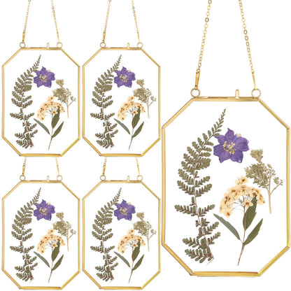 Vicenpal 5 Pcs 5 x 7 Inches Glass Pressed Flower Frame, Hanging Floating Picture Frame for Tabletop Artwork Dried Flower Display with Metal Chain for Mom Friends Wedding Gift DIY Craft(Coppery)