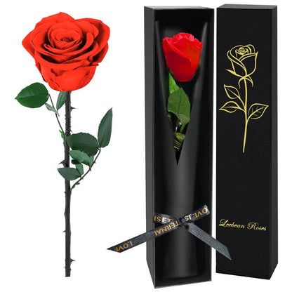 Leebean Single Forever Roses Luxury Gift for Women/Men, Birthday Gifts for Women,Flowers Gifts for Girlfriend,Wife,Mom,Anniversary,Valentine's Day,Wedding,Graduation,Presents for Her,Red