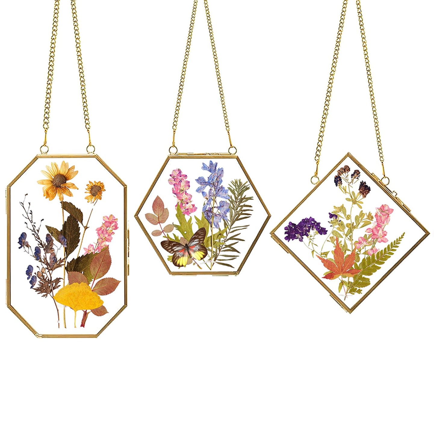 Apipi Pressed Flower Frame Gifts for Mom, Hanging Glass Frames for Crafts Photo Picture Display, Sturdy Chain Floating Wall Art for Home Decor, 3 Pcs
