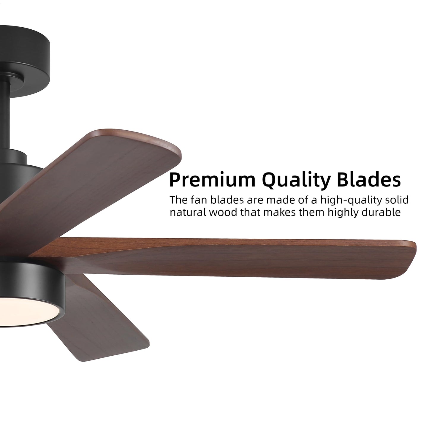 WINGBO 48 Inch DC Ceiling Fan with Lights and Remote Control, 5 Carved Solid Wood Blades, 6-Speed Noiseless Reversible DC Motor, Indoor Ceiling Fan in Matte Black Finish with Walnut Blades