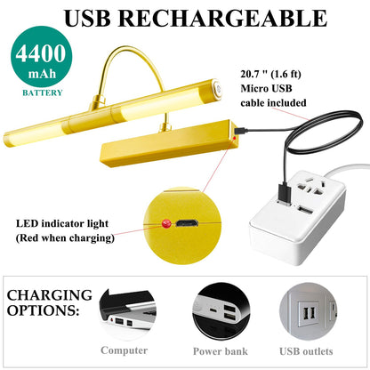 BIGMONAT Wireless Picture Light for Paintings, Dimmable Dartboard Light with Remote and Timer, Rechargeable Battery Operated Display Lamp for Wall Artwork Portrait Photo Gallery Mirror