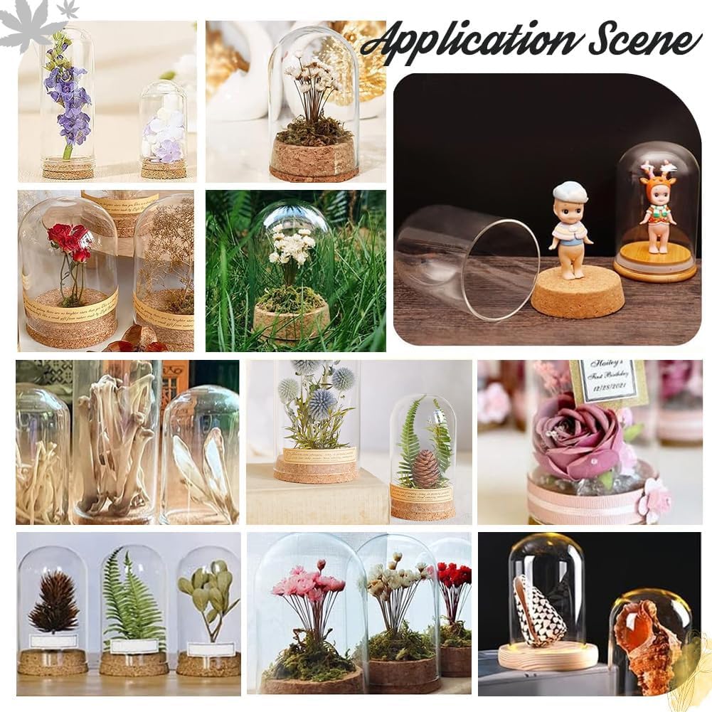 PandaHall 4pcs Glass Cloche Dome Glass Display Bottle Bell Jar with Cork Base Dome Cover Decorative Jars Display Case for Flower Storage Home Christmas Party Decoration 3.15x4.72inch