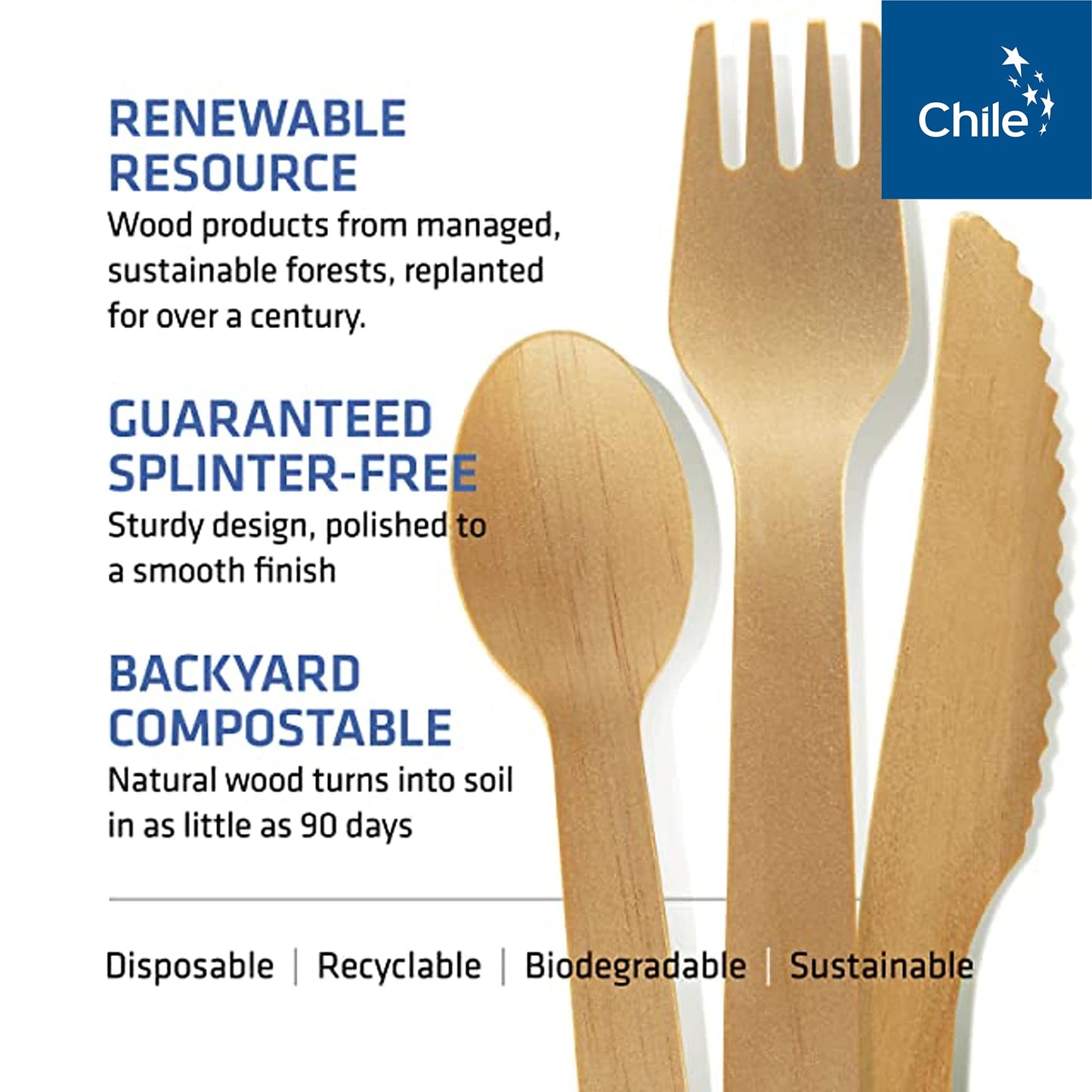 Disposable Wooden Cutlery Set - 100% Home Compostable - 100 Spoons 6.5", Bamboo Utensils Alternative, Eco-Friendly, Organic, Sustainable and Carbon Neutral Certified