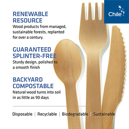 Disposable Wooden Cutlery Set - 100% Home Compostable - 100 Spoons 6.5", Bamboo Utensils Alternative, Eco-Friendly, Organic, Sustainable and Carbon Neutral Certified
