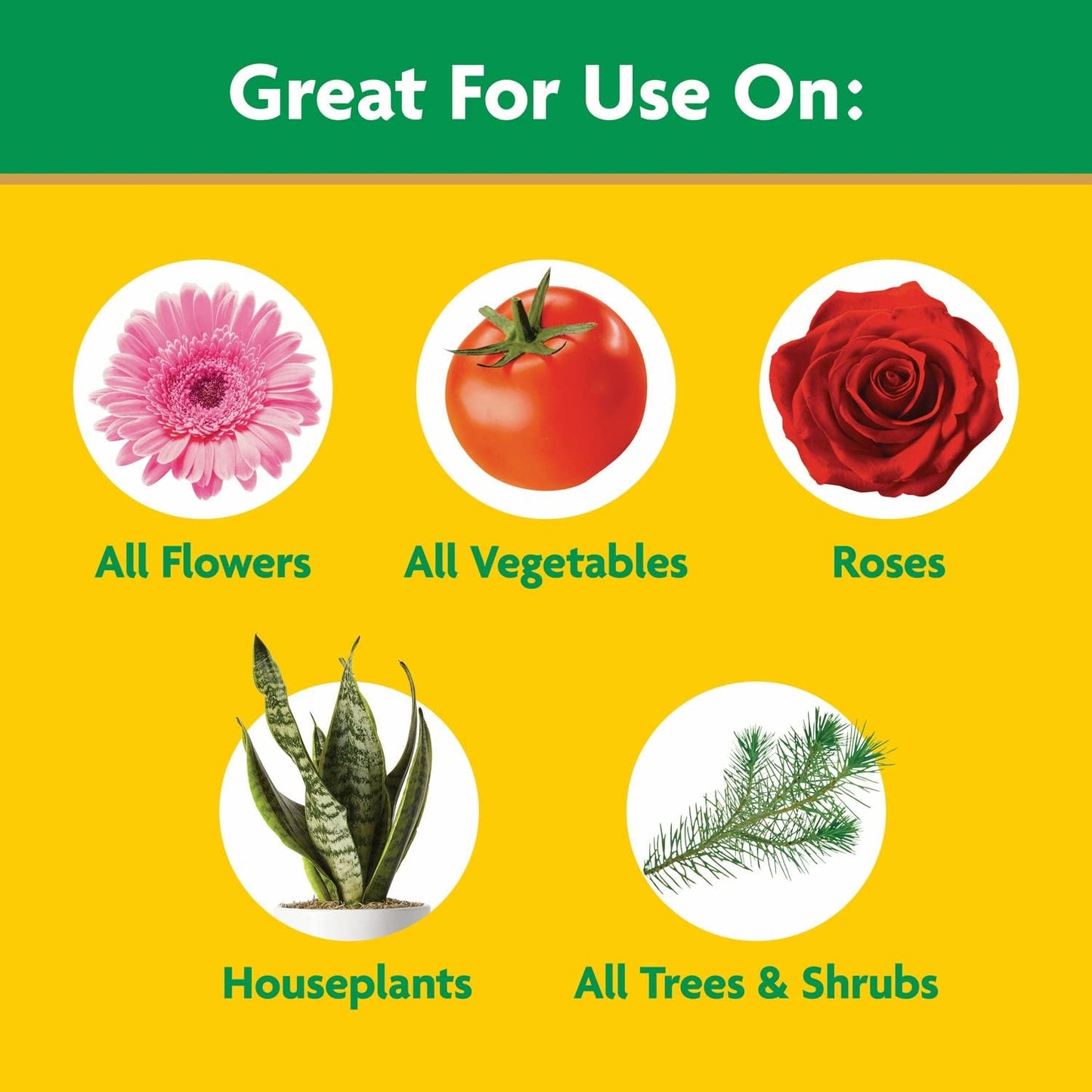 Miracle-Gro Water Soluble All-Purpose Plant Food - Fertilizer for Indoor & Outdoor Plants | 5 lbs