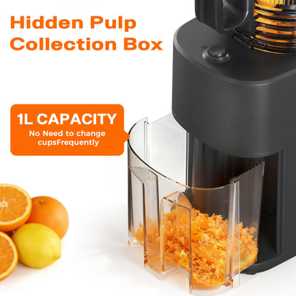 Cold Press Juicer with 5.5" Wide Feed Chute, Slow Masticating Juicer Machine for Whole Fruits & Vegetables, High Juice Yield, Gray