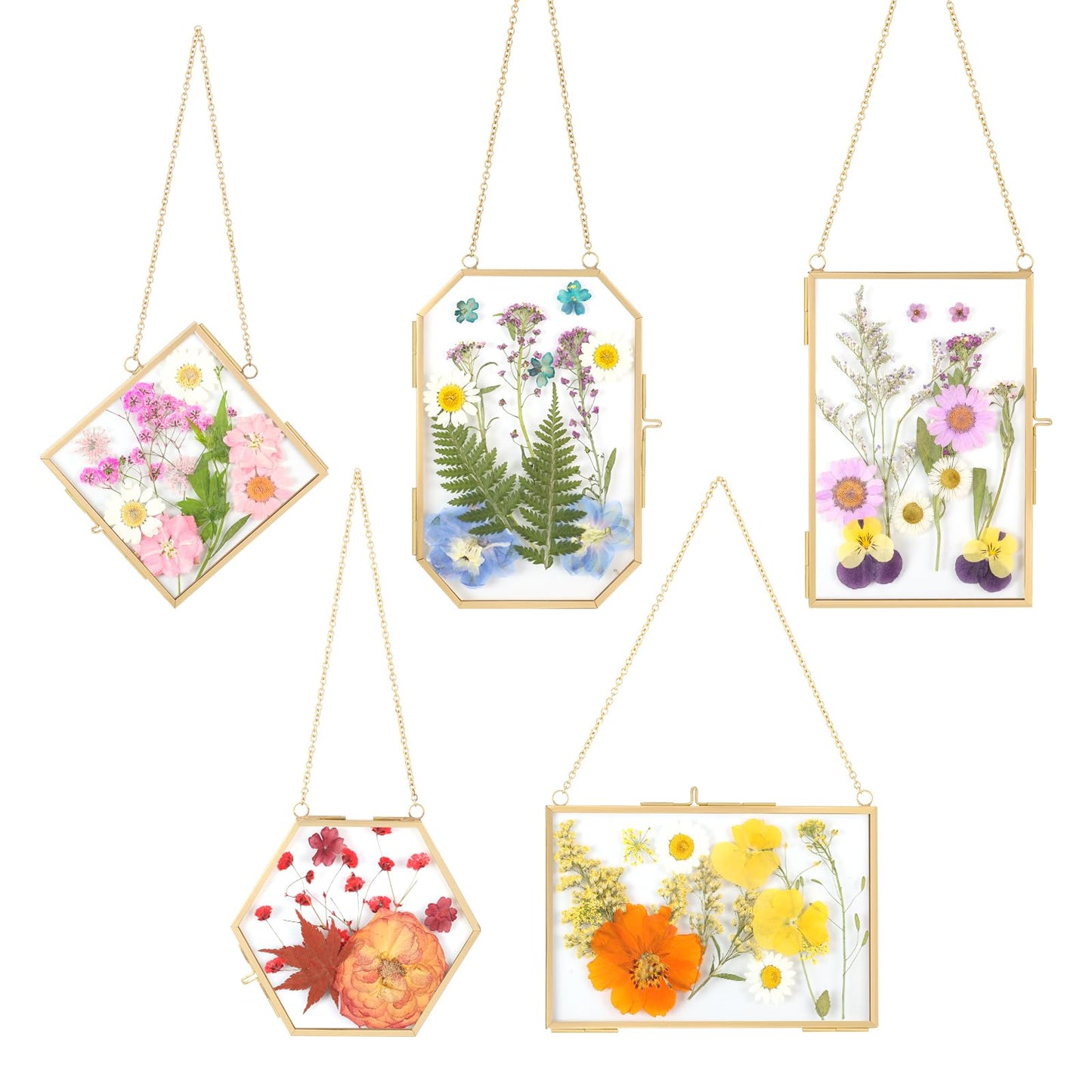 5 PcsDouble Glass for Pressed Flowers,Clear Brass Embossed Frame with Tweezers,Can Be Used for Dried Flower Plant Photo Postcards Wall Mounted Glass Pressed Flower Frame,No Dried Flowers