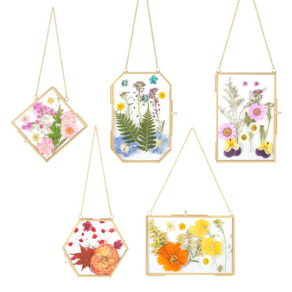 5 PcsDouble Glass for Pressed Flowers,Clear Brass Embossed Frame with Tweezers,Can Be Used for Dried Flower Plant Photo Postcards Wall Mounted Glass Pressed Flower Frame,No Dried Flowers
