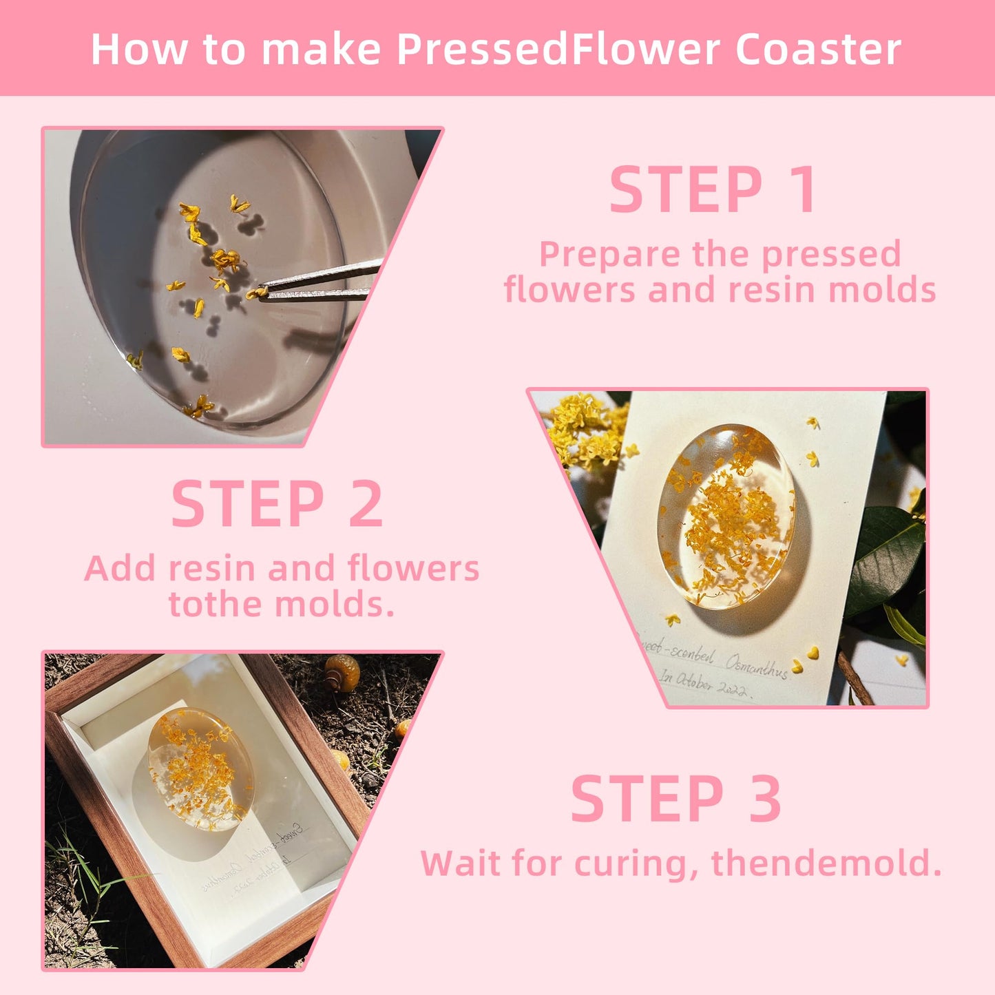 Botanical Pressed Flower Set – Real Dried Flowers & Leaves for Resin Art, Scrapbooking, Candle Making, and DIY Nature Crafts