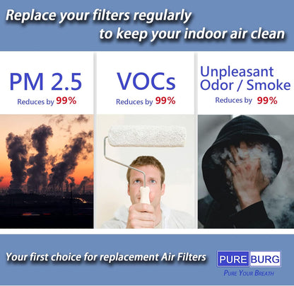 PUREBURG at-PETODR Replacement Filter for HoMedics AT-PET01 AT-PET02 Air Purifier, 2-Pack