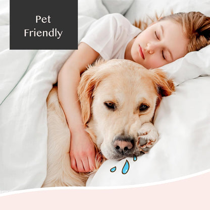 Zippered Waterproof Pillow Protectors, 2 Pack Standard, Soft Comfortable Sateen Cotton Pillowcase - 20x26