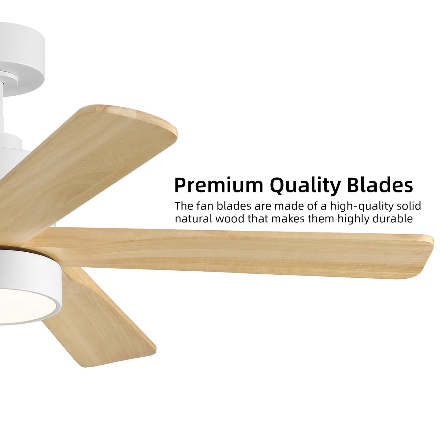 WINGBO 48 Inch DC Ceiling Fan with Lights and Remote Control, 5 Carved Solid Wood Blades, 6-Speed Noiseless Reversible DC Motor, Indoor Ceiling Fan in Gloss White Finish with Oak Blades