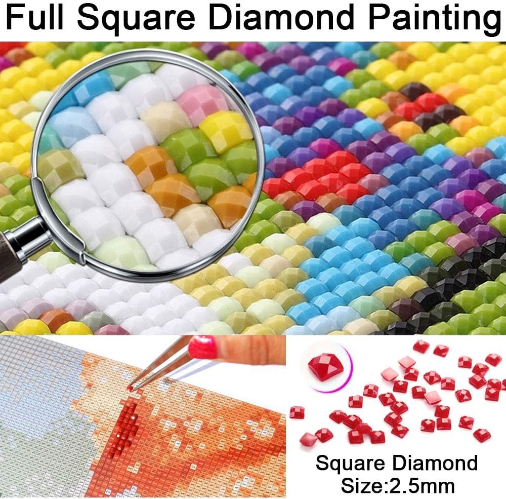 DIY Diamond Painting Red and Black Roses Full Square Drill Kits Embroidery Cross Stitch Mosaic Art for Adults Home Wall Decoration Beautiful Picture for Festival Gift 16x12IN