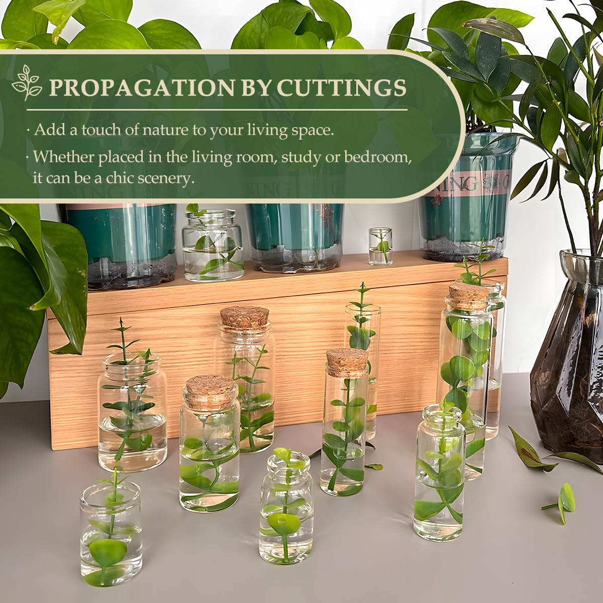 48-Pack 1.01 oz (30 ml) Glass Bottles with Cork Stoppers – for Spell Bottles, Spice Jars, DIY Party Favors, Travel Memories & Plant Propagation – Empty Recyclable Containers for Crafts, Kitchen,Décor