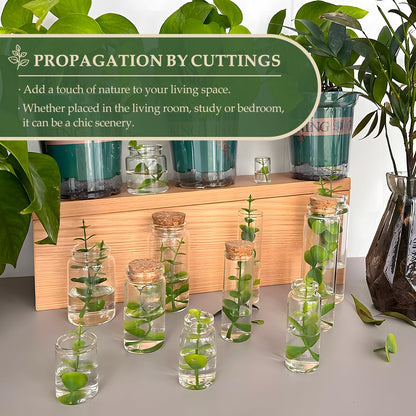 48-Pack 1.01 oz (30 ml) Glass Bottles with Cork Stoppers – for Spell Bottles, Spice Jars, DIY Party Favors, Travel Memories & Plant Propagation – Empty Recyclable Containers for Crafts, Kitchen,Décor