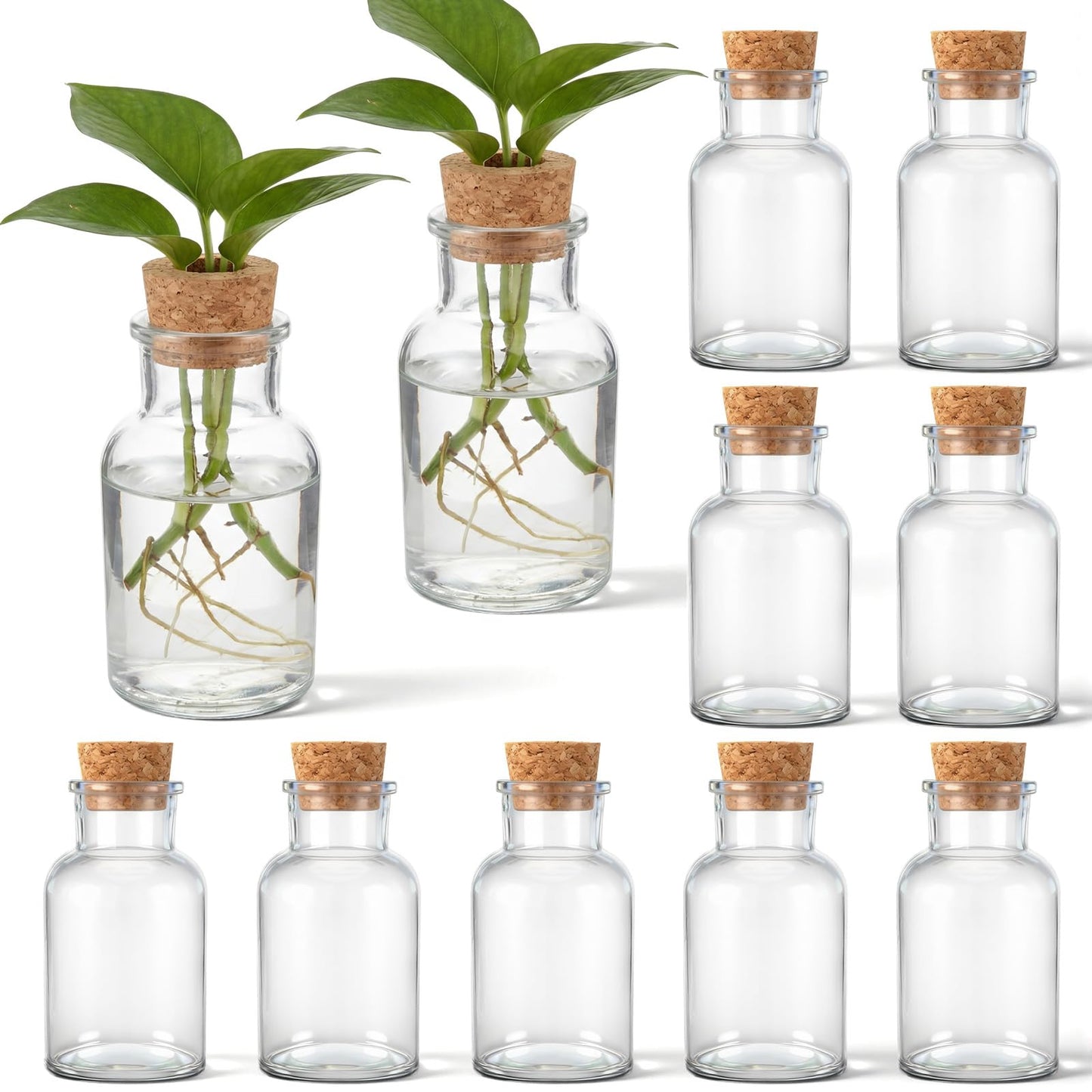 Acellegic 12 Pack Glass Plant Propagation Stations, Hydroponic Vases Tabletop Plant Terrarium Jar for Indoor Flower Arrangements Glass Planter Kitchen Office Decoration Gifts(Cylindrical)