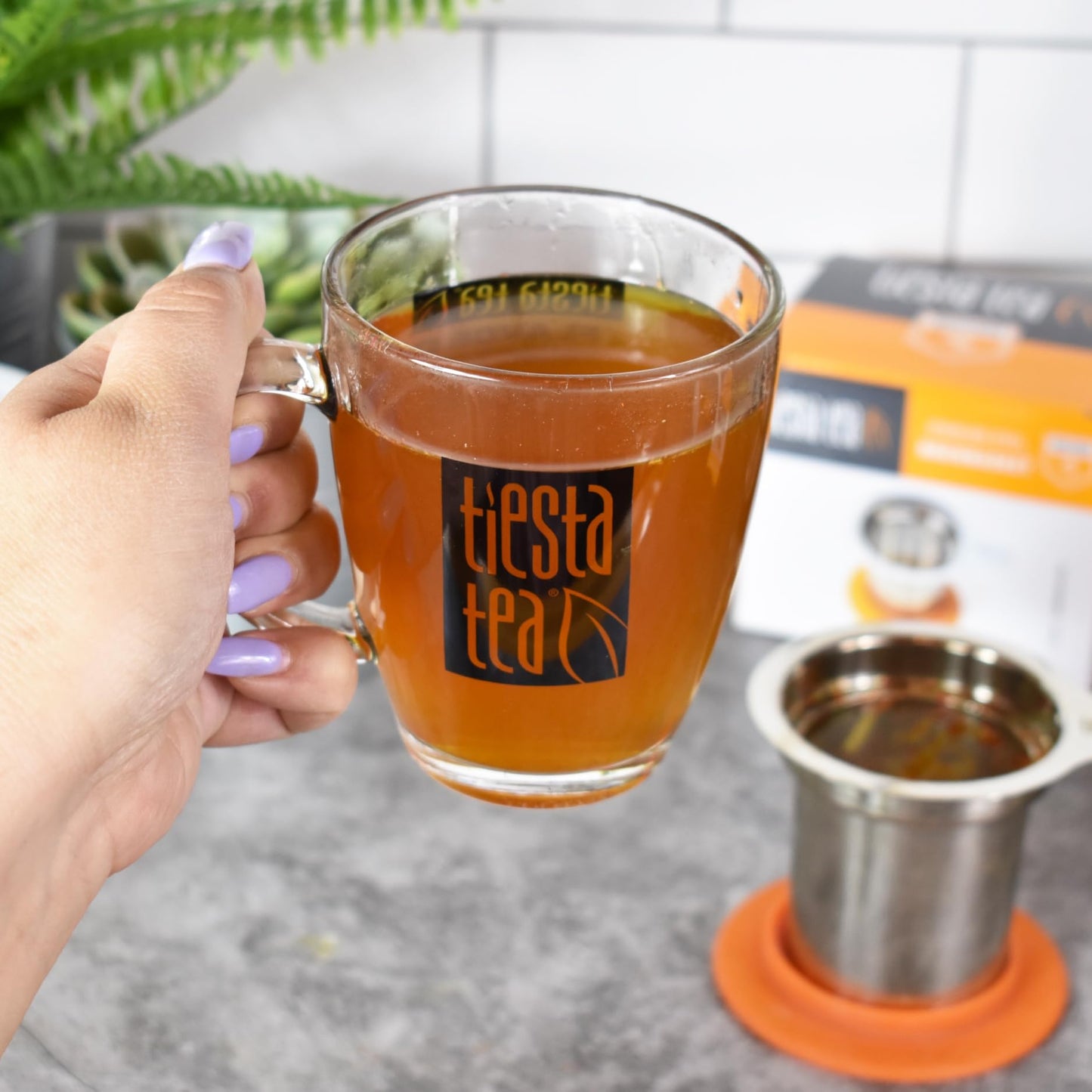 Tiesta Tea Brewbasket Stainless Steel Infuser Basket for Mother's Day Loose Leaf, Reusable Fine Mesh Strainer for Hot & Iced Drinks, Loose Leaf Steeper, Single Cup Tea Diffuser, Holds 5 Ounces