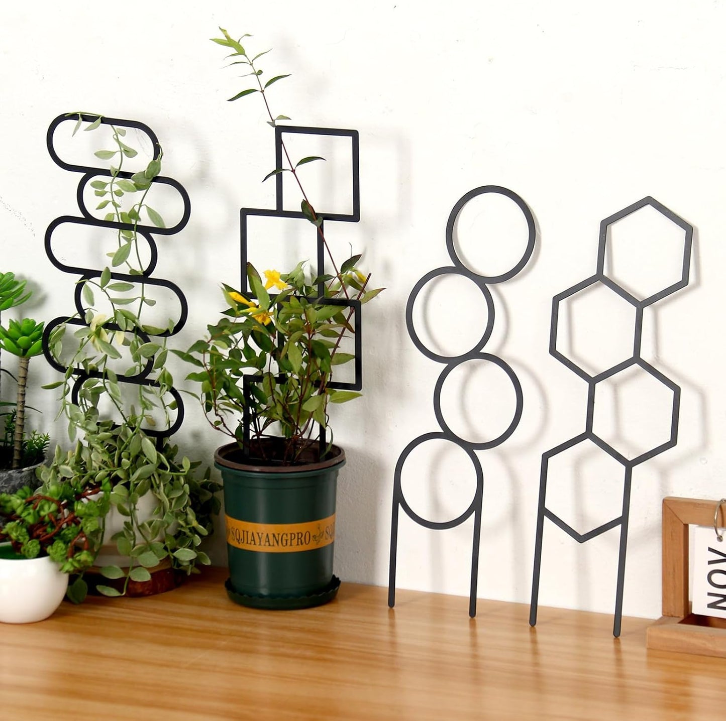 KOYILTD 4 1) Pcs Trellises for Climbing Plants Indoor Metal Climbing Plant Support Metal Plant Trellis for Pots Garden