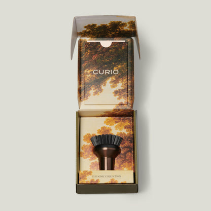 Curio Home Goods Ionic Palm Brush, Magnetized to Stand Upright, Stainless Steel with Replaceable Head, Bronze