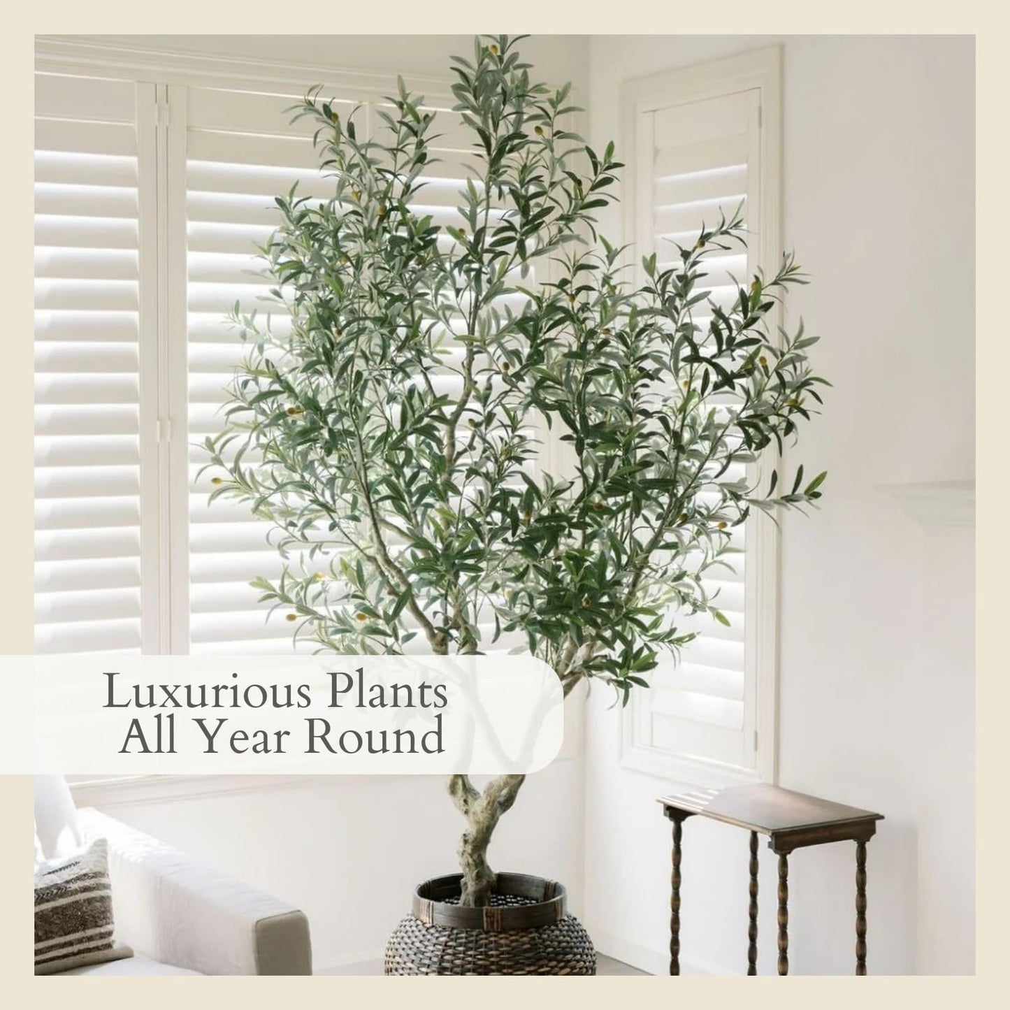 CG Hunter Designer Faux Olive Tree, Premium Handmade Artificial Indoor Tree Stands 8-ft Tall, Lifelike-Leaves & Hand Painted Trunk, Black Grower Pot Included