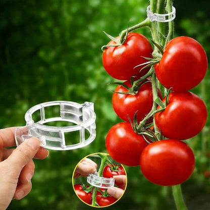 Feed Garden 120Pcs Plant Clips - Reusable Supports for Climbing Plants, Tomatoes, Cucumbers & More | White