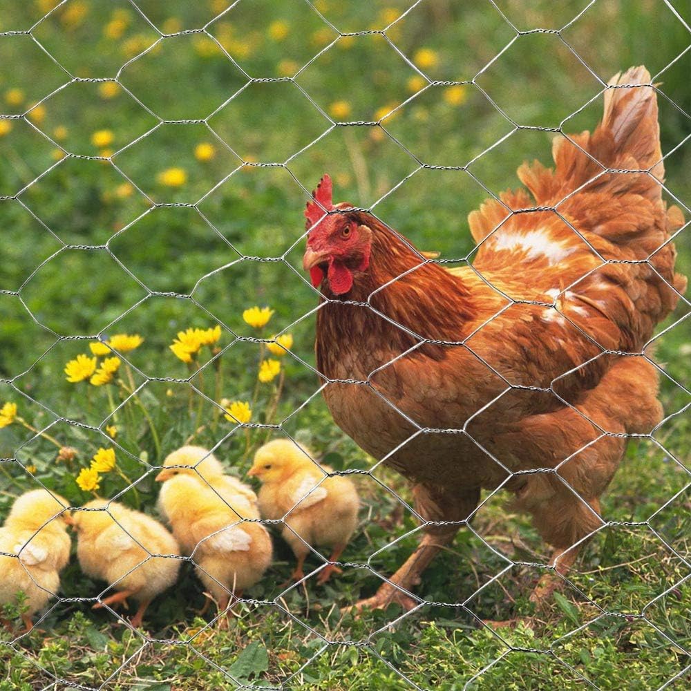 20GA 18 inches 50 2 inches Galvanized Hexagonal Poultry Netting Chicken Wire x feet x Mesh