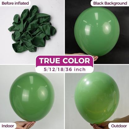 Bezente Sage Green Latex Party Balloons - 150 Pack 5-Inch Round Helium Balloons for Celebrations