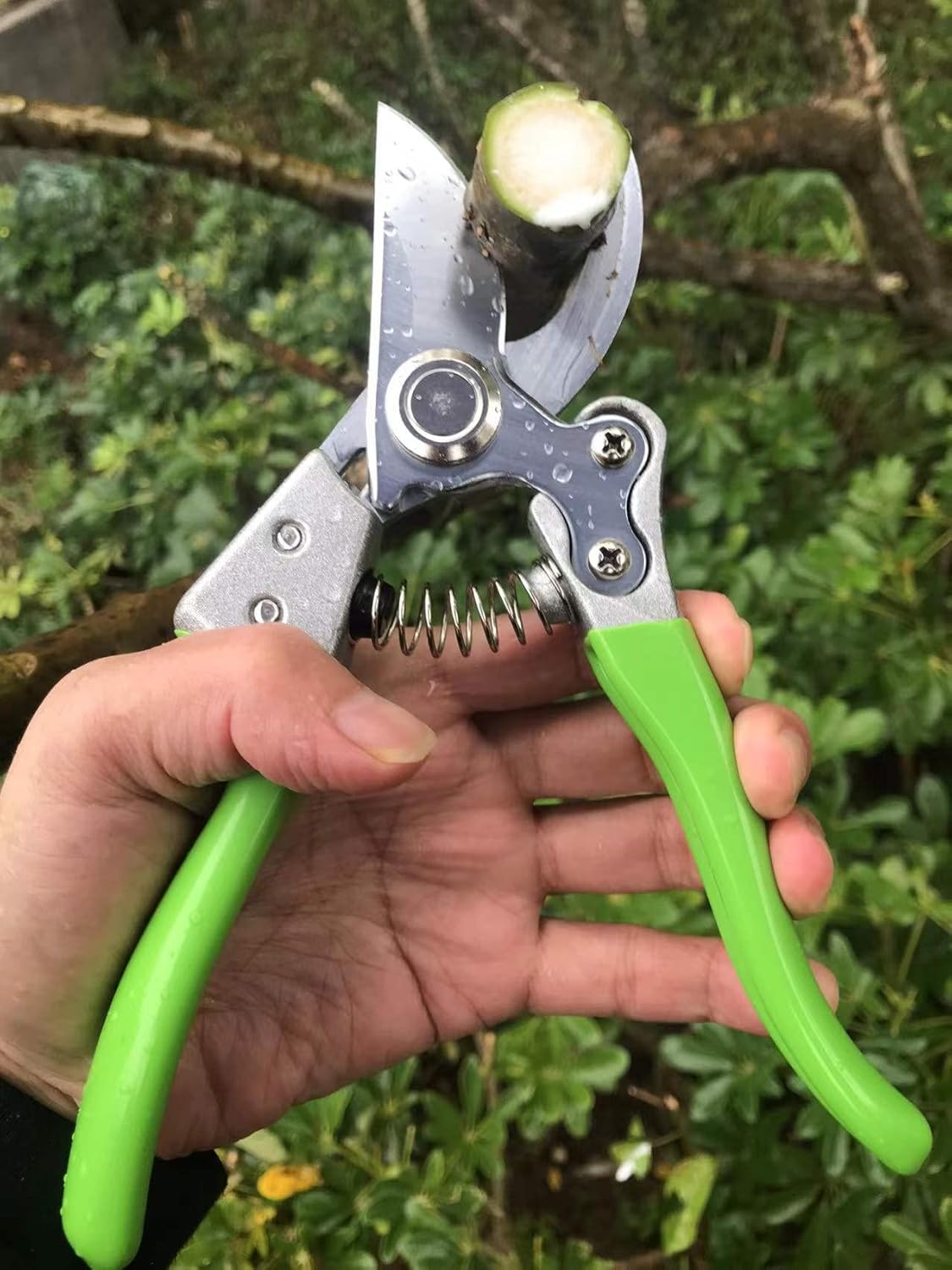 Horsvill Trimmers, Garden Shears, Japanese Pruning Shears for Heavy Duty, Flowers Herbs Grapes Plant and Branch
