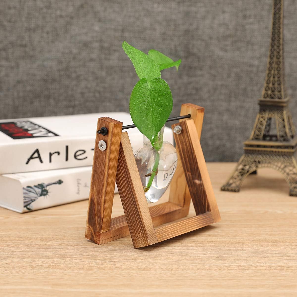 1 Kingbuy Terrarium with Wooden Stand, Desktop Propagation Station, Air Plant Holder, Metal Swivel Holder